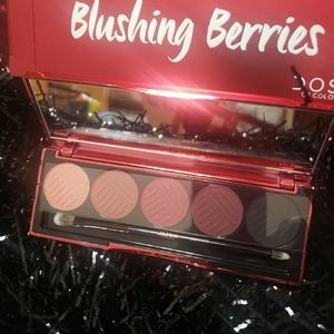 Blushing Berries Eyeshadow Palette